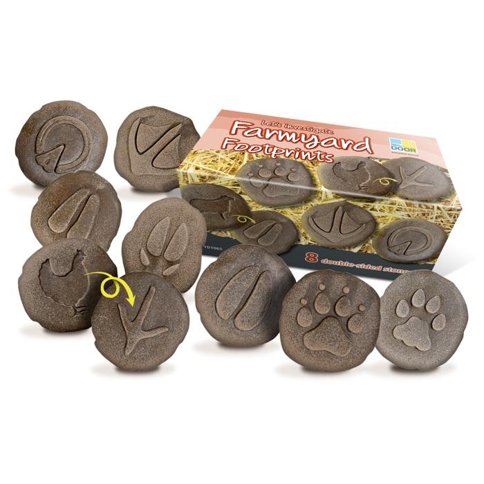 Let's Investigate - Farmyard Footprints
