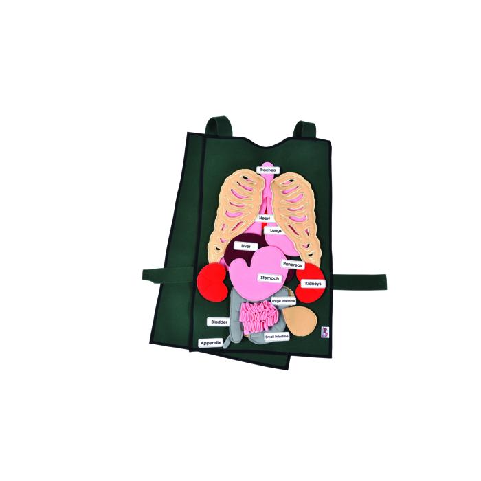 Adult Tunic & Healthy Organ Set