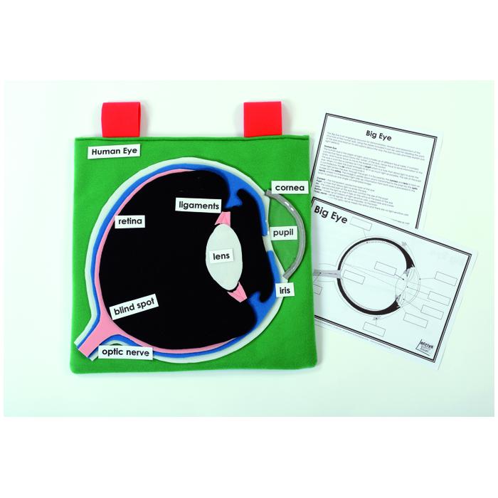 Big Eye Learning Kit