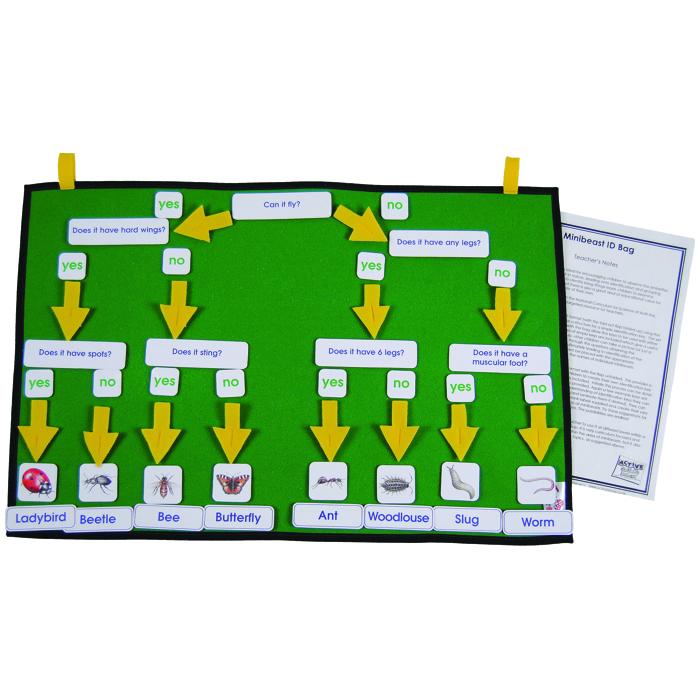 Minibeasts Identification Learning Kit