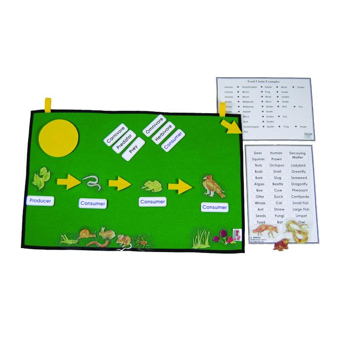 Foldout Food Chain Learning Kit