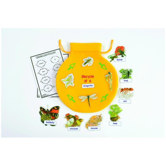 Nature Lifecycle Learning Bag (Class Kit)