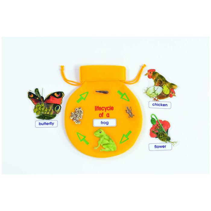 Nature Lifecycle Learning Bag
