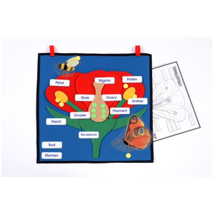 Big Flower Learning Kit