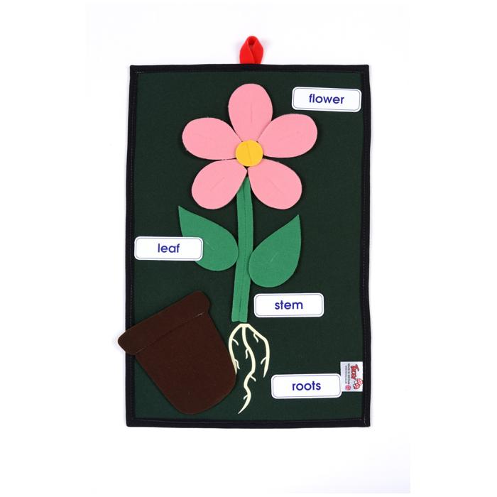 Foldaway Flower Learning Kit