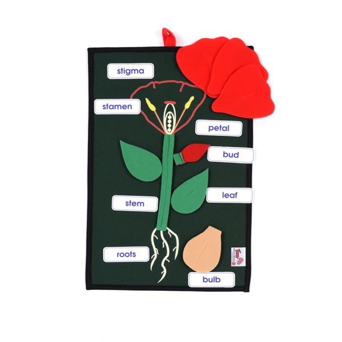 Plant in a Pocket Learning Kit