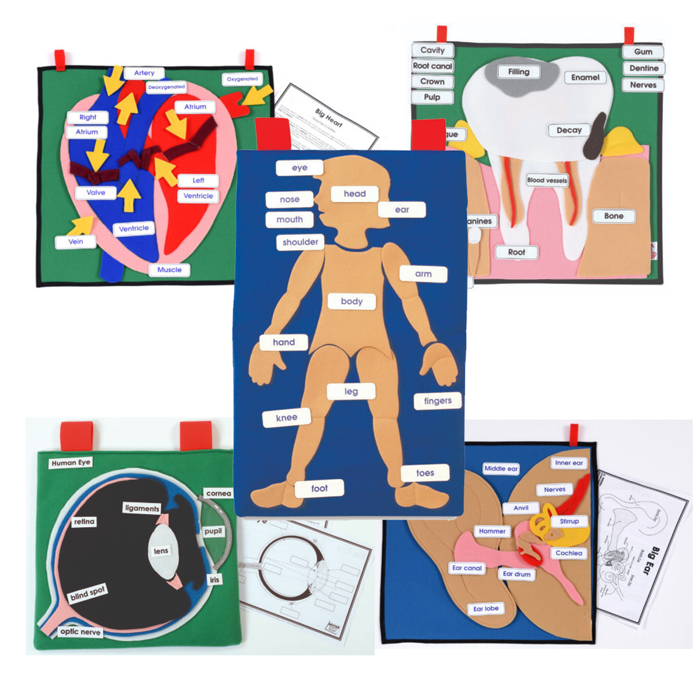 Human Body Education Pack
