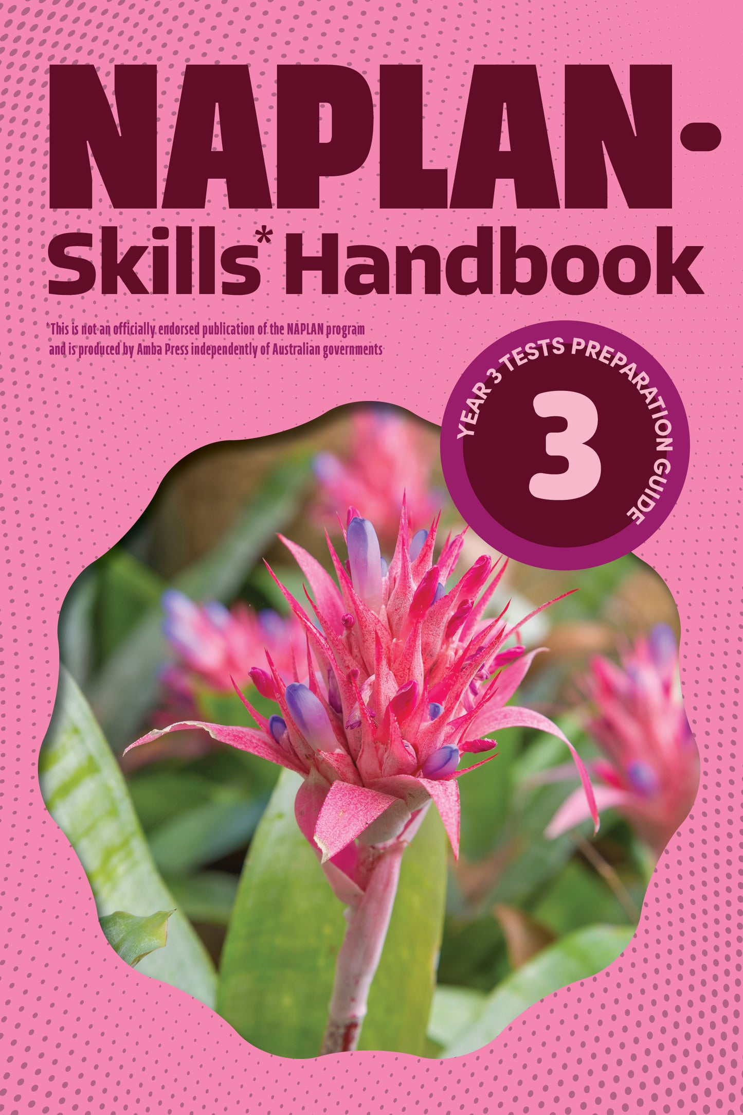 NAPLAN-Skills* Handbook 3: Year 3 Tests Preparation Guide