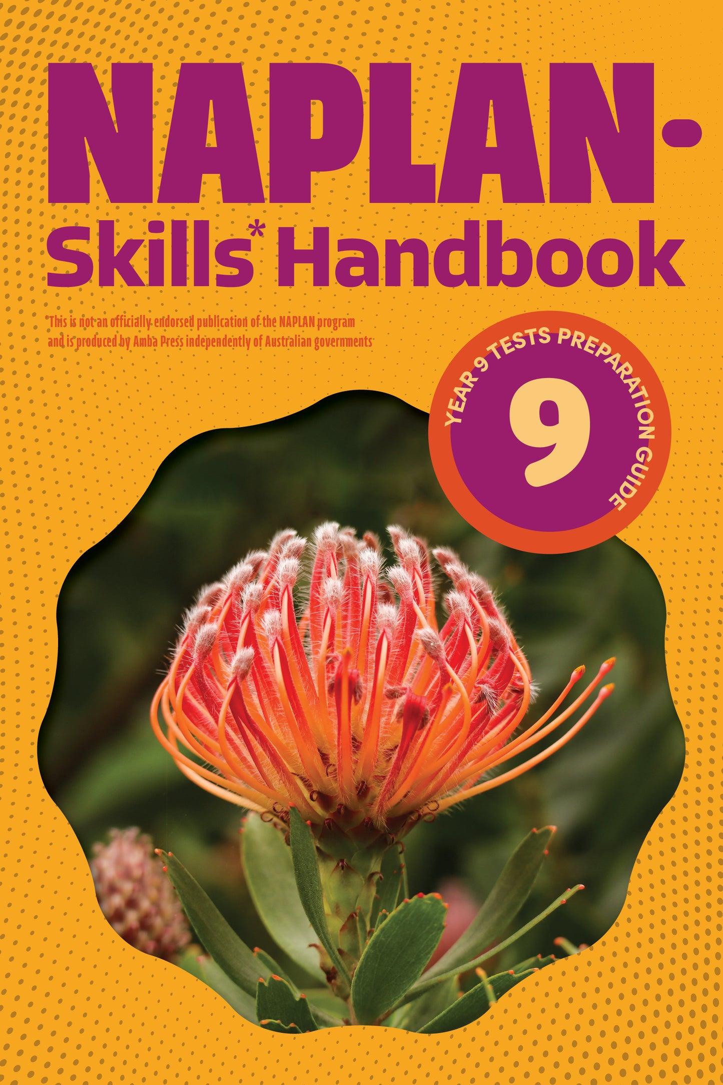 NAPLAN-Skills* Handbook 9: Year 9 Tests Preparation Guide