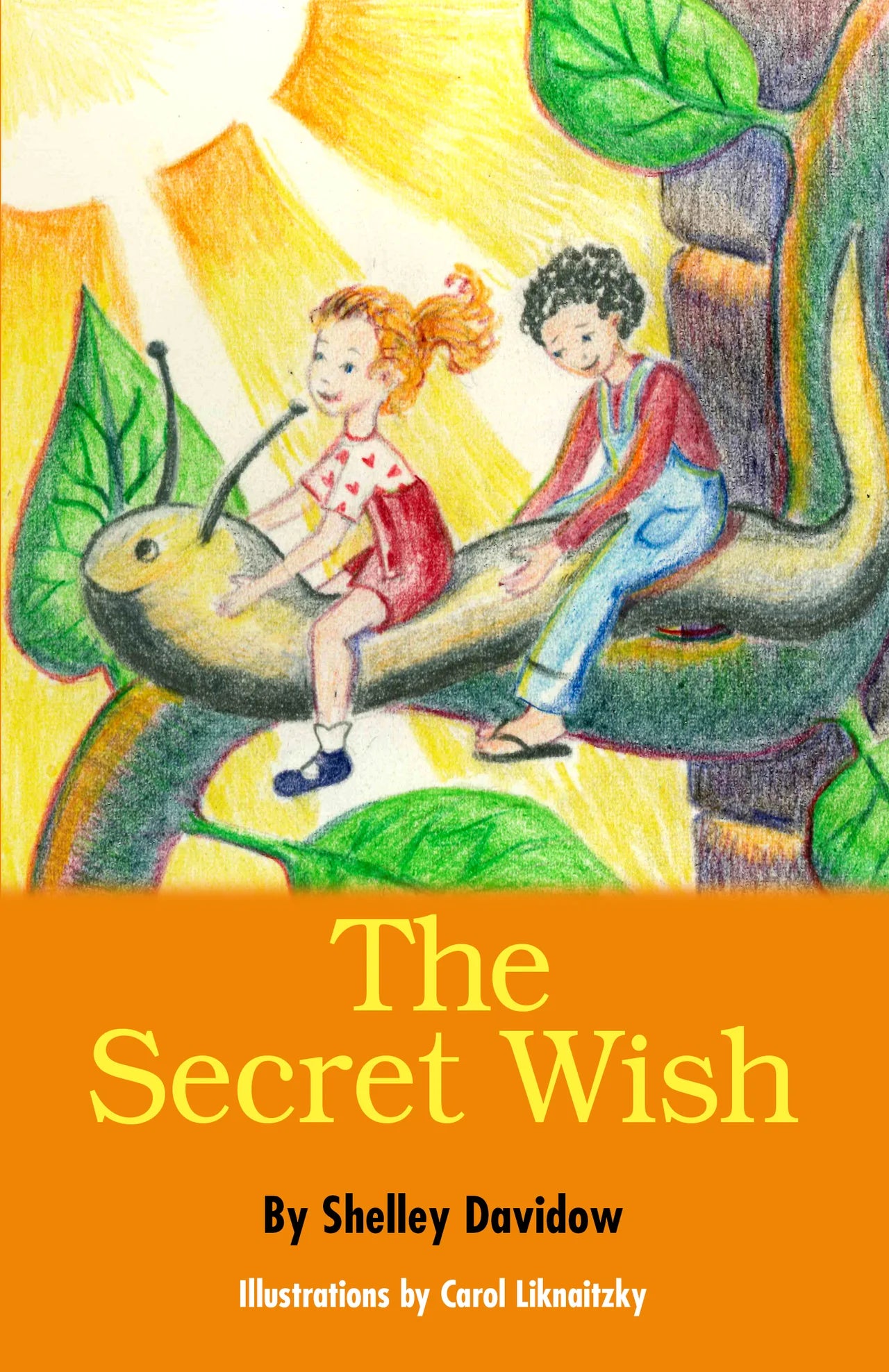 The Secret Series by Shelley Davidow