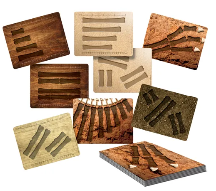 Dinosaur Bones Match and Measure Set with Activity Cards
