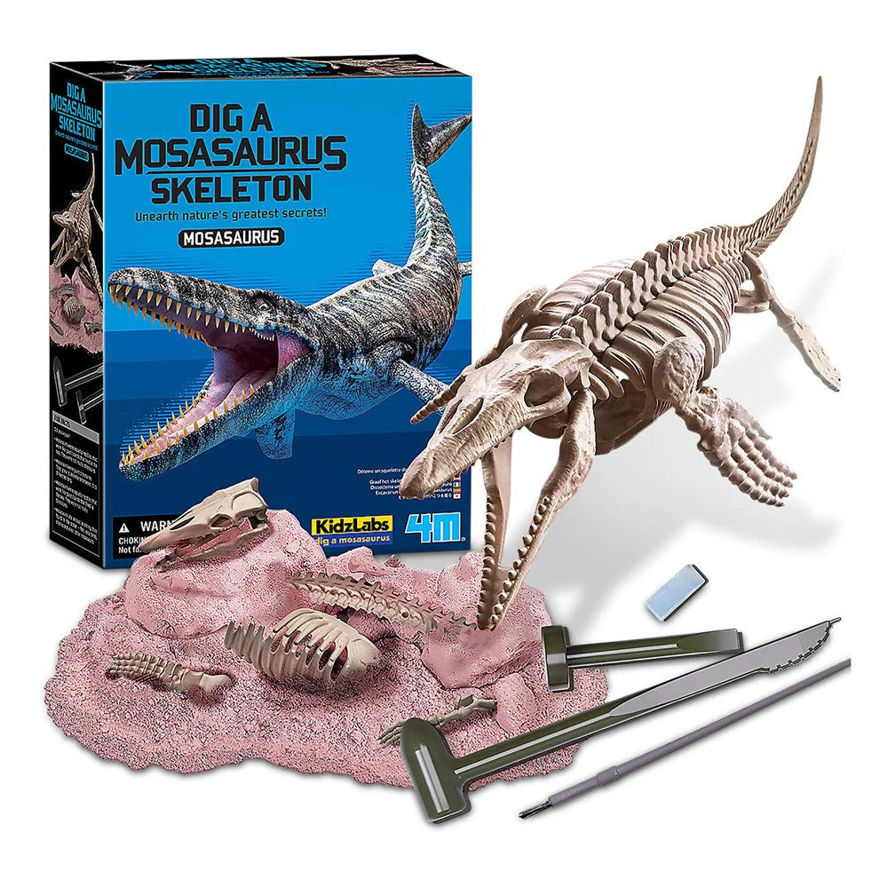 Complete Dig A Dinosaur Set