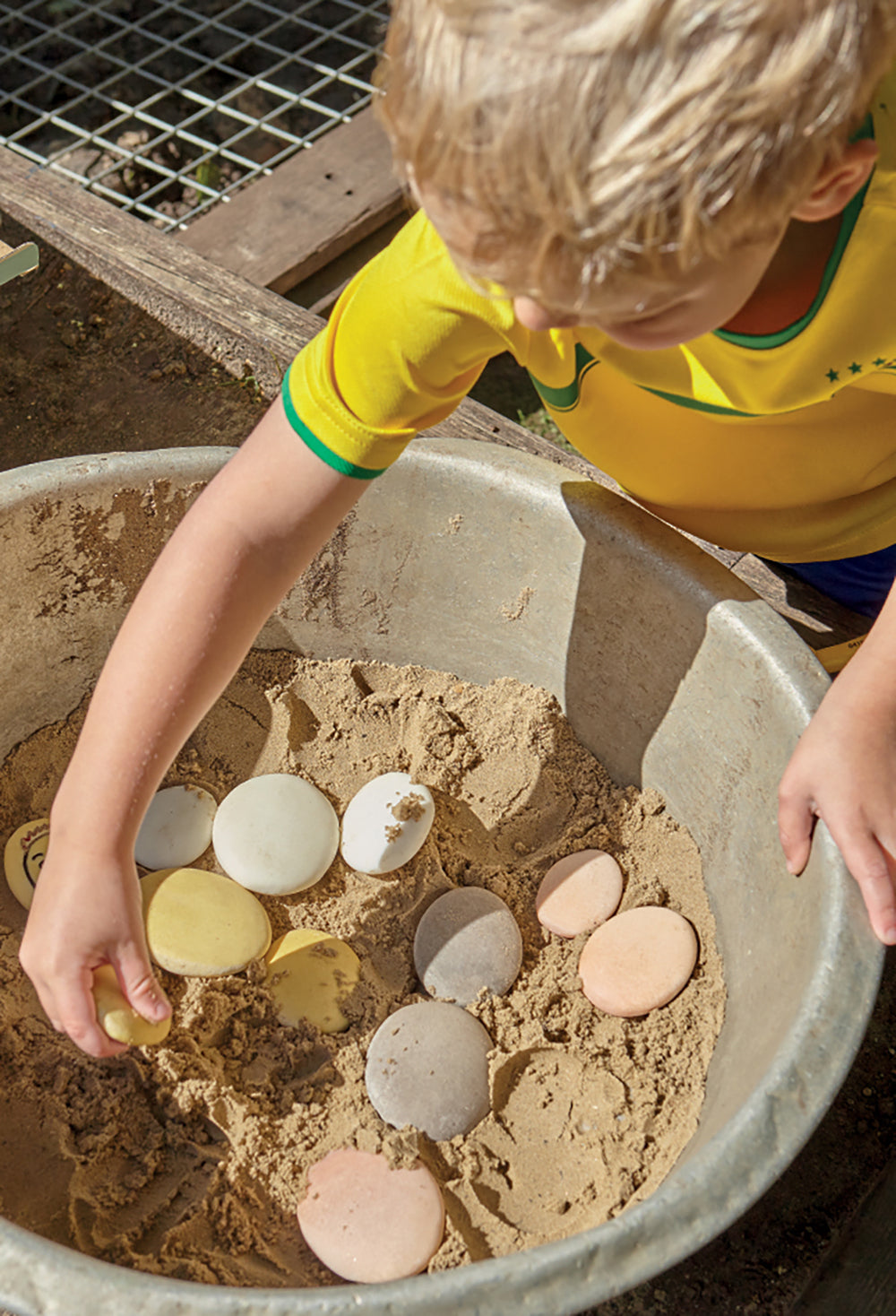 Natural Sorting Stones
