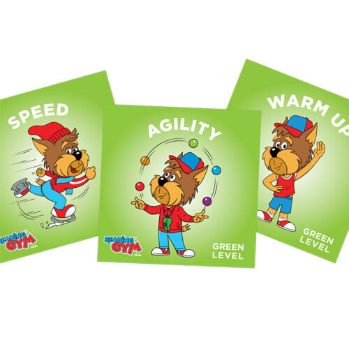Reading Gym Alphabet Phonics Books
