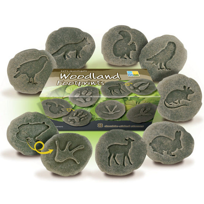 Let's Investigate – Woodland Footprints