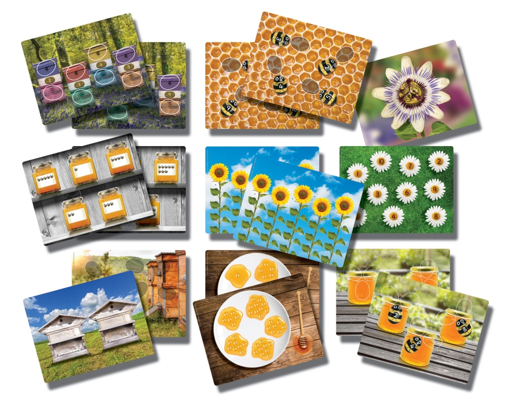 Honey Bee Number Pack
