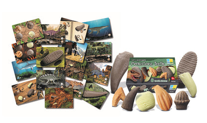 Prehistoric Teeth Set