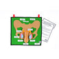 Male Reproductive Learning Kit