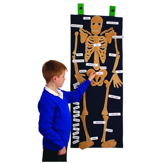 Bag of Bones Learning Kit