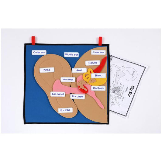 Big Ear Learning Kit