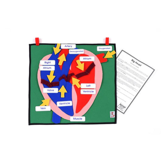 Big Heart Learning Kit