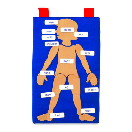 My Body Learning Kit