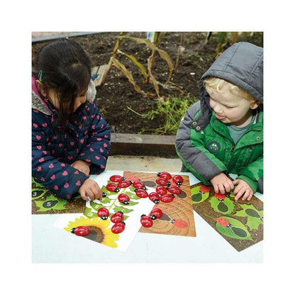 Ladybugs Counting Kit