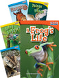 Museum Tour Time for Kids Animals Bundle