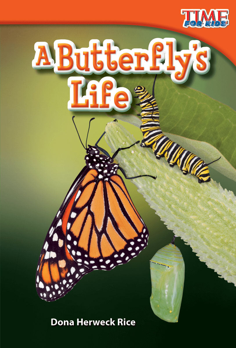 A Butterfly's Life