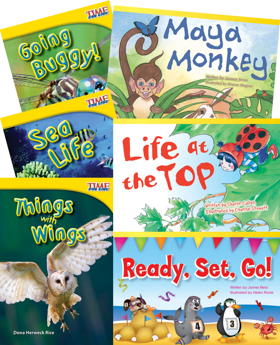 Animal Groups  6-Book Set