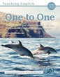 Teaching English One to One 2/e