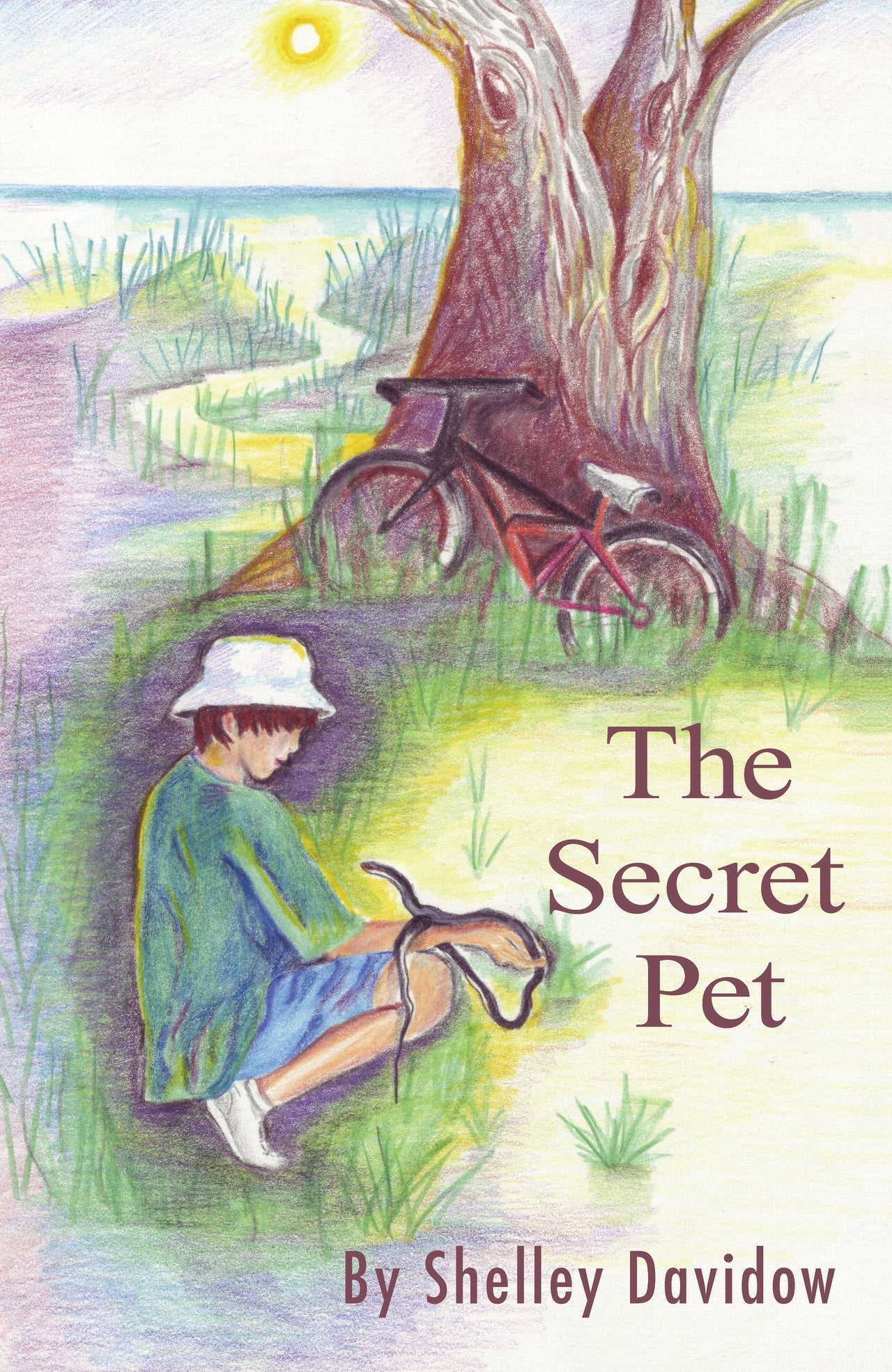 The Secret Series by Shelley Davidow