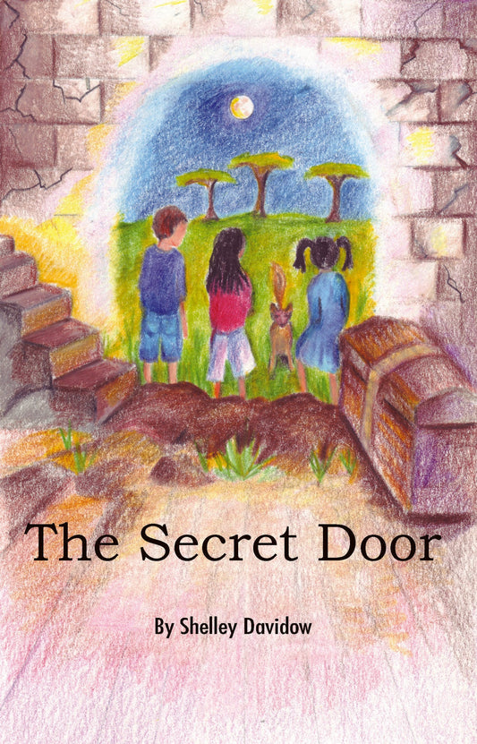 The Secret Door: Book 2