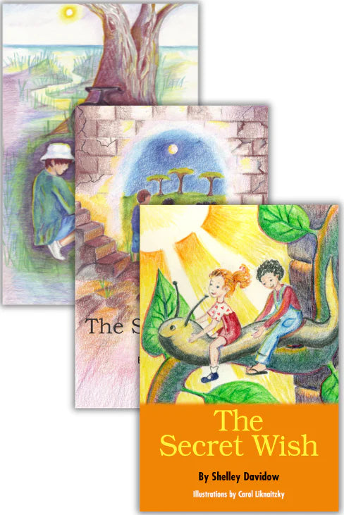 The Secret Series by Shelley Davidow