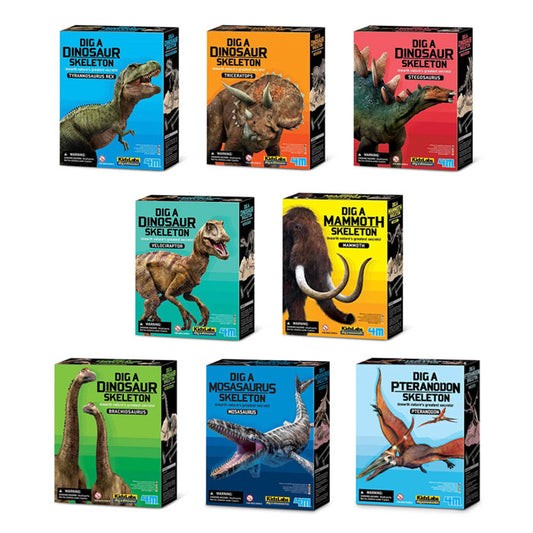 Complete Dig A Dinosaur Set
