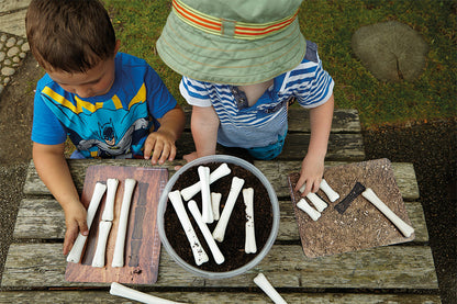 Dinosaur Bones Match and Measure Set with Activity Cards