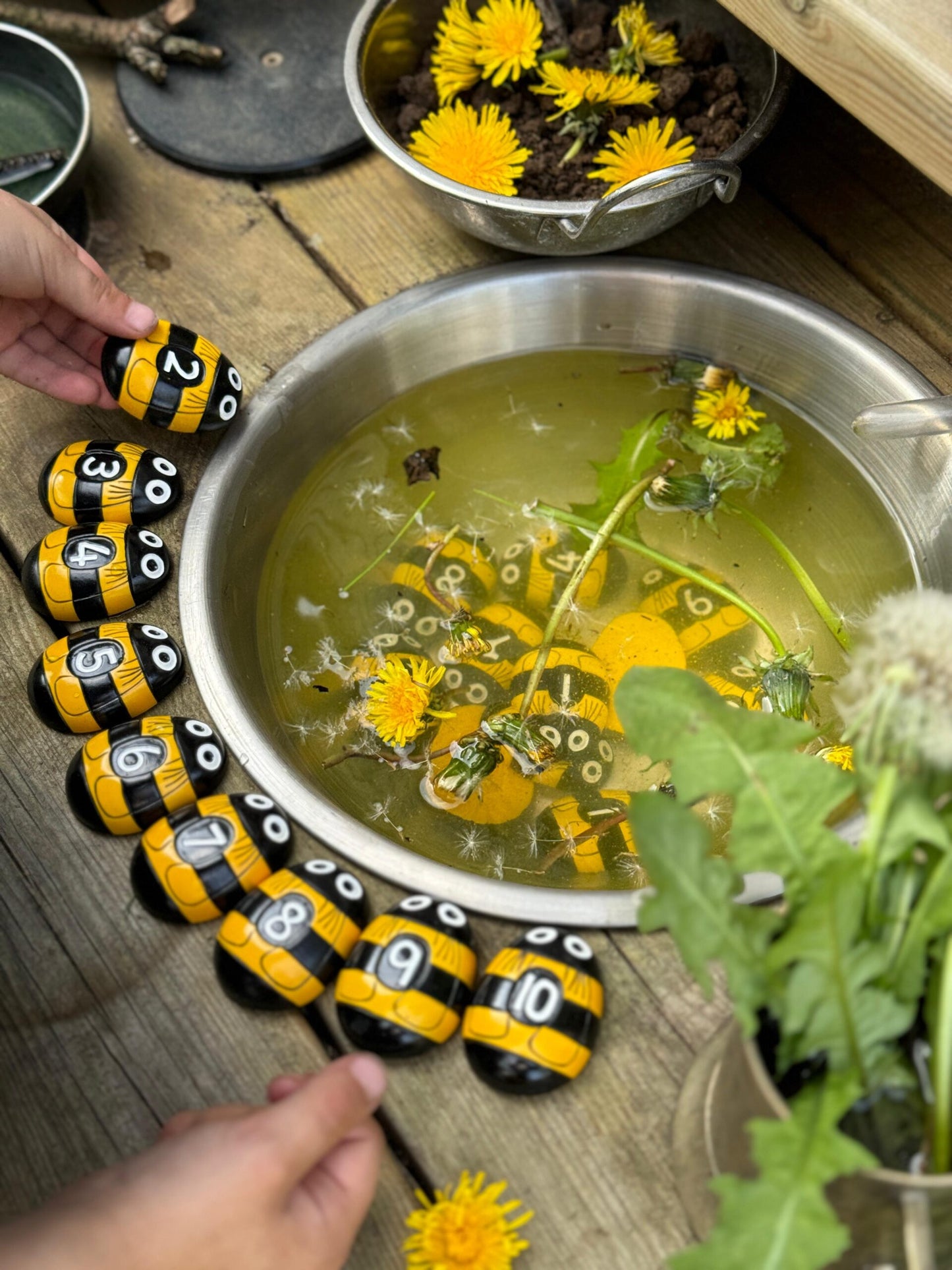 Honey Bee Number Pack