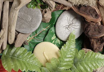 Let's Investigate - Bugs