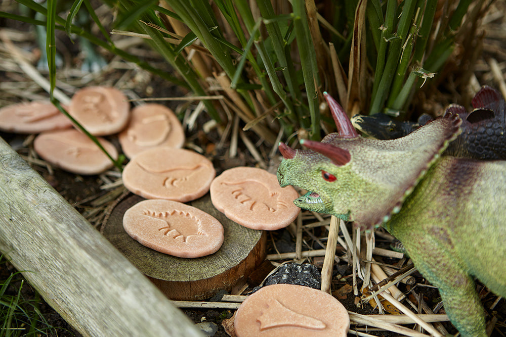 Let's Investigate - Dinosaur Footprints