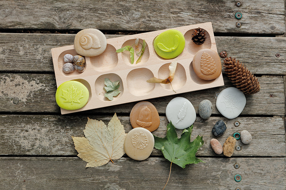 Let's Investigate - Nature