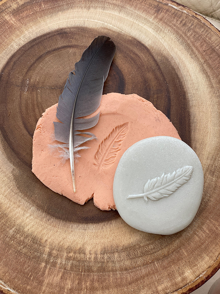 Let's Investigate - Nature