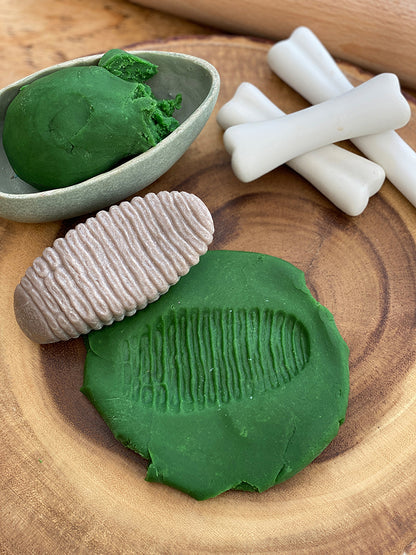 Let's Investigate - Prehistoric Teeth