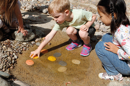 Let's Investigate - Seashore