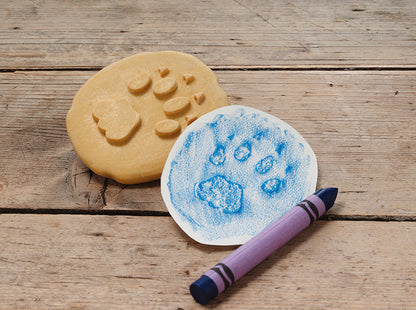 Let's Investigate – Safari Footprints