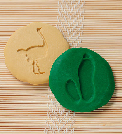 Let's Investigate – Safari Footprints