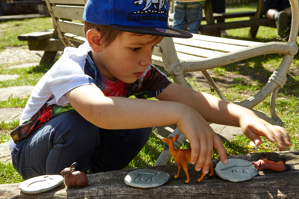 Let's Investigate – Woodland Footprints