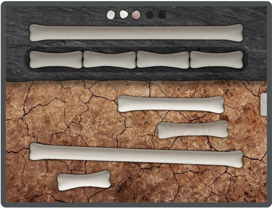 Early Maths App Software Collection