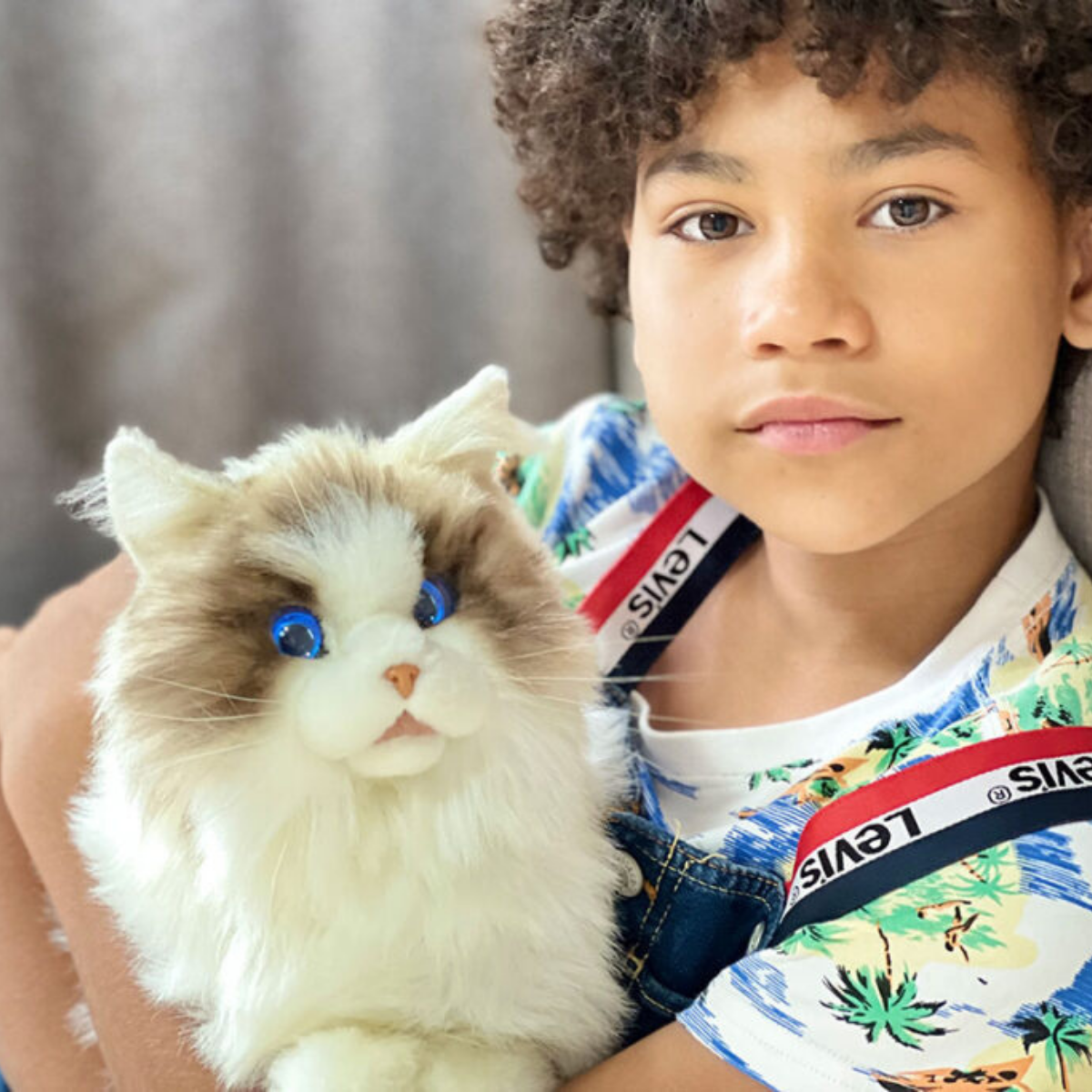 MetaCat: Your Interactive Robo-Cat