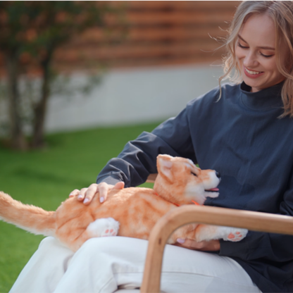 MetaDog: Your Interactive Robo-Puppy