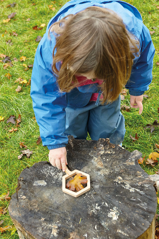 Natural Shape Viewers (Set of 5)